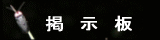 ホタルに関する掲示板　お気軽に